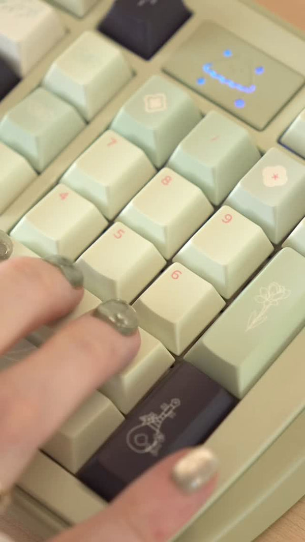 Dino98 Keyboard Kit
