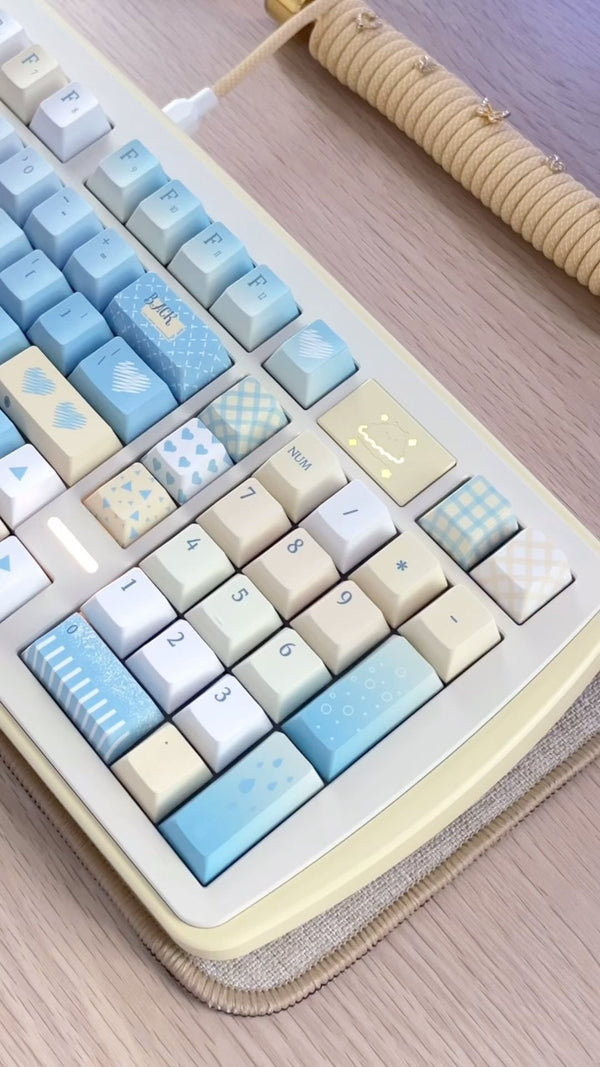 Dino98 Keyboard Kit